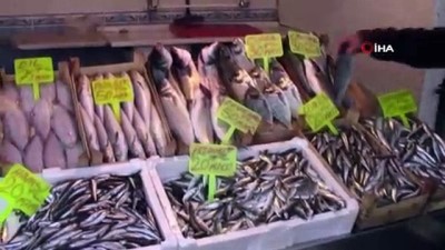 balik turu -  Bursa’da balıkçı ağlarına dev köpek balığı takıldı  Videosu