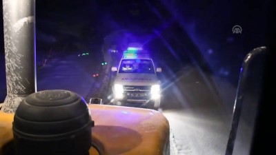 Ekipler köpeklerin yaraladığı genç için seferber oldu - AĞRI 