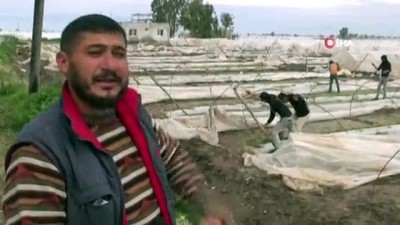 hortum felaketi -  Tarsus'ta hortumun vurduğu seralarda bakım ve onarım çalışmaları sürüyor  Videosu