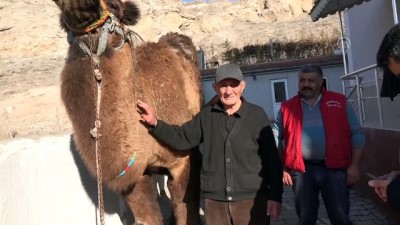 ali ay - Hayali gerçek oldu, adadığı deveyi 50 yıl sonra kesti - SİVAS  Videosu