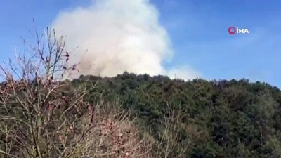 ormanli -  Sultangazi Cebeci Köyü'nde ormanlık alanda yangın çıktı. Olay yerine çok sayıda itfaiye ekibi sevk edildi  Videosu