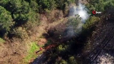 ormanli -  Sultangazi'de ormanı kaplayan duman havadan görüntülendi Videosu