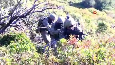 kuvvet komutanlari -  Temsili düşman adası ele geçirildi, yerli silahlar göz doldurdu  Videosu