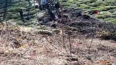 cay bahcesi -  - Çay bahçesinde kendi yaktığı ateşte yanarak öldü  Videosu