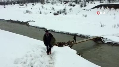 tahta kopru -  Hem insanların hemde hayvanların kullandığı bu köprünün hiçbir koruması yok  Videosu