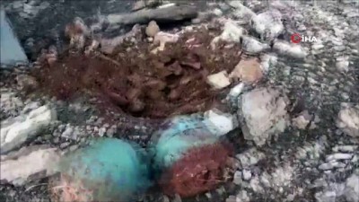 amonyum nitrat -  Diyarbakır’da terör örgütü PKK’ya büyük darbe...Ele geçirilen mühimmat böyle imha edildi  Videosu