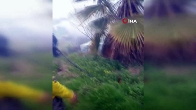 hastane bahcesi -  Eski hastane bahçesindeki yangın korkuttu Videosu