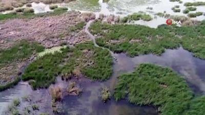kacak avci -  Beyşehir Gölü'nde “gün batımı” canlı yayınına kaçak avcı engeli  Videosu