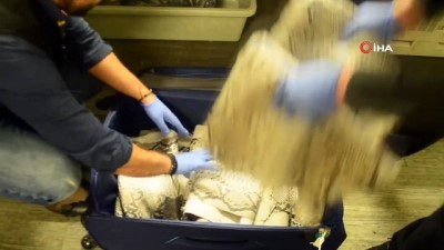 istihbarat -  Atatürk Havalimanı'nda 'yılan derisi' operasyonu  Videosu