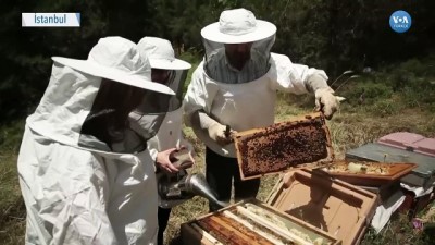 yerli uretim - Kadın Girişimcinin Başarı Öyküsü Videosu