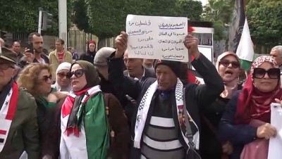 Tunuslular, Arap Birliği Zirvesi'ni protesto etti - TUNUS 