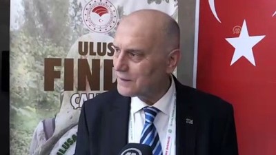 Fındık ihracatçısı alternatif pazar arayışında - ORDU 