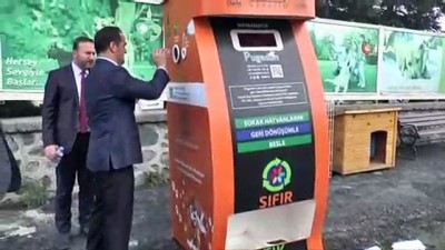 hayvan sevgisi -  Beyoğlu Belediyesi’nden 'Hayvan hakları' düzenlemesine destek  Videosu