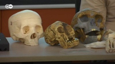 fosil - Filipinlerde yeni bir insan türü keşfedildi Videosu