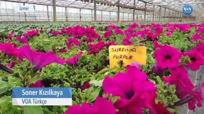 kooperatif - ‘Kooperatifleşme Bir Tercih Değil Zorunluluktur’  Videosu