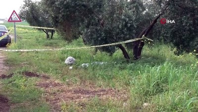 zeytin agaci -  Yabani ot toplarken öldü  Videosu