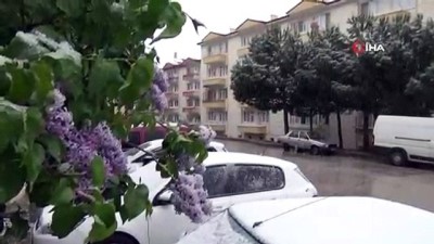  Amasya’ya Nisan'da lapa lapa kar yağdı 