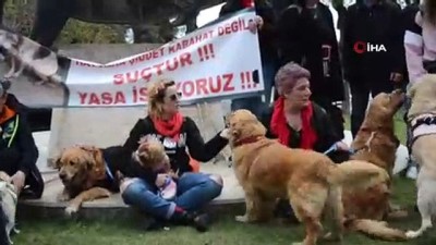 toplu yuruyus -  Vahşete karşılık onlarca vatandaş köpeğiyle sokağa döküldü Videosu