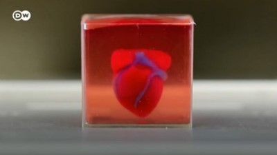 organ nakli - İsrailli bilim insanları kalp üretti Videosu