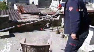 cati kati -  Evin çatısındaki yılan paniğe neden oldu  Videosu