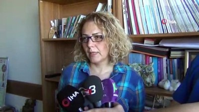 karahisar -  Silahla vurulan hamile tilki kurtarılamadı  Videosu