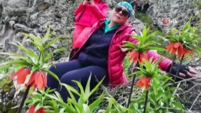 begendik -  Ters laleler çiçek açtı  Videosu