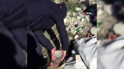  Kafası kavanoza sıkışan yavru köpeği Mehmetçik kurtardı
