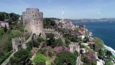 erguvan - İstanbul'da erguvan zamanı  Videosu