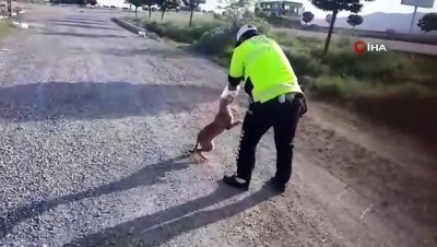  Kafasına geçirilen bidonla dolaşan köpeği polis kurtardı 