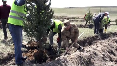 baraj golu - Kars Barajı çevresinde 2100 fidan toprakla buluştu  Videosu