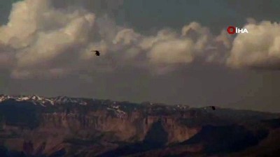 polis ozel harekat -  Şırnak’ta 3 PKK’lı terörist etkisiz hale getirildi  Videosu