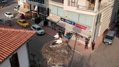 gocmen kus - Leylekler Çubuk'u mesken tuttu - ANKARA  Videosu