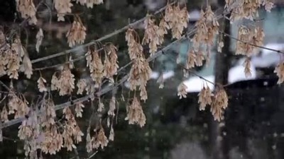 hava sicakligi - Sarıkamış’ta Nisan karı - KARS Videosu