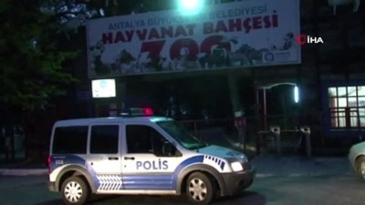  Kaçan kurt üç ayrı noktada vatandaşlar tarafından görüntülendi 