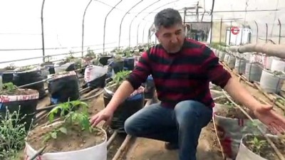 keci gubresi -  Yarasa gübresi kullanarak üretim yapıyor  Videosu