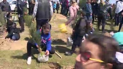 anit mezar - Bakü Türk Okulları öğrencileri Digah Türk Şehitliği'nde fidan dikti  Videosu