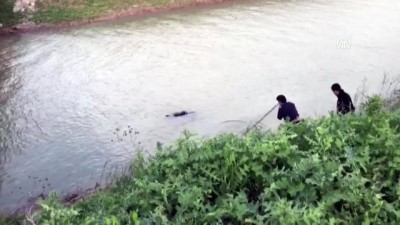 Sulama kanalında ceset bulundu - HATAY