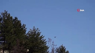 keskin nisanci -  Tunceli'de PKK'ya ağır darbe  Videosu
