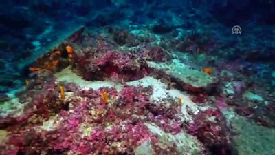 3 boyutlu goruntu - 3 bin 600 yıllık gemi batığı bulundu - ANTALYA Videosu