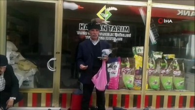 hayvan sevgisi -  Bekçinin güvercin aşkı görenleri şaşırtıyor  Videosu