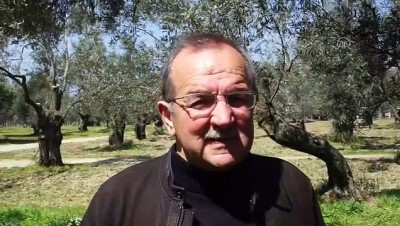 zeytinyagi - Edremit Körfezi'ndeki zeytin üreticileri yeni sezondan umutlu - BALIKESİR Videosu