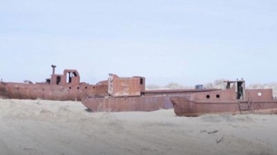 Video | Yüzde 90'ı kuruyan Aral Gölü'nü ağaçlar kurtaracak
