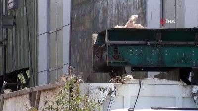  Çöplükte yeni doğmuş bebek cesedi bulundu 