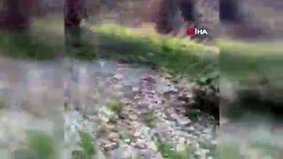 atak helikopter -  Cudi Dağı'nda PKK'ya ait 3 katlı mağara imha edildi  Videosu