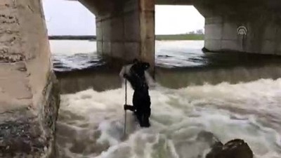 Kayıp gencin cesedi bulundu - VAN 