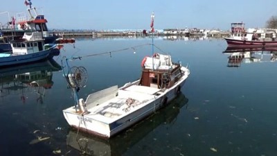 salyangoz - Kıyı balıkçıları lüfer ve çinekopa hazırlanıyor - DÜZCE  Videosu