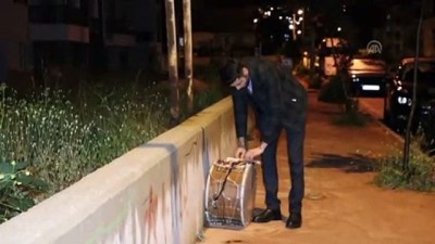 universite ogrencisi - Genç muhtar seçim vaadini tutup tokmağı eline aldı - DENİZLİ  Videosu