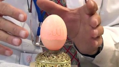 yumurta kabugu - Yumurta kabuklarını sanat eserine dönüştürüyor - BURSA  Videosu