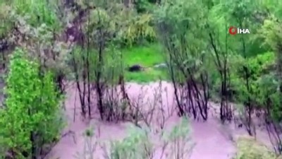 zap suyu -  Zap Suyu’nda su samuru görüntülendi  Videosu