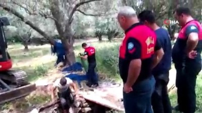 kurtarma operasyonu -  Fosseptik çukuruna düşen inek için seferber oldular Videosu